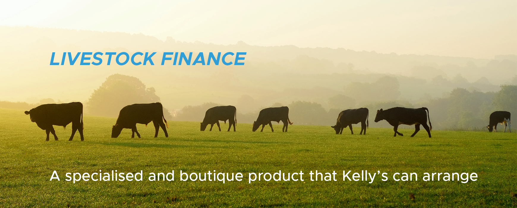 Livestock-Finance